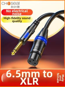 Choseal | xlr cable 6.5 to XLR Microphone Cable for Audio Mixer