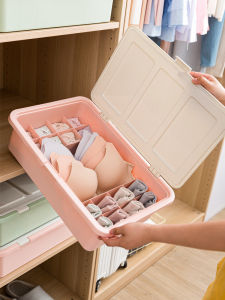 Intimates Storage Box Panty Socks Bra Box Student Dormitory For Home Compartment Storage Box Three-in-One Finishing Box