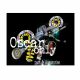 oscar only shop