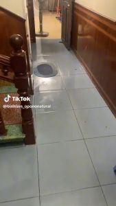 Combo 02 Xịt phòng tinh dầu đuổi muỗi côn trùng khử mùi diệt khuẩn hữu cơ sả chanh Bình Lam Natural 250ml