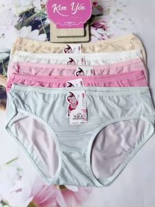 COMBO 5 QUẦN LÓT NỮ- QUÂN LÓT THUN LẠNH - QUẦN BÀ GIÀ THÊU HOA THOÁNG MÁT 55-65 kg