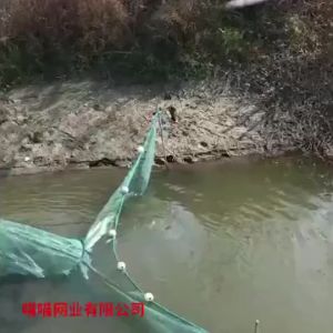 3x1x3m Tail 3m Imported Fishing Net Folding Fish Shrimp Cage Net