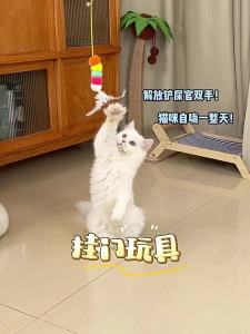 7o | Entertainment & Biting Resistance Cat Toy