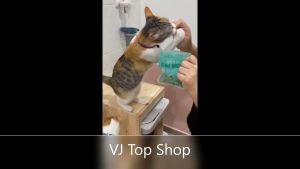 MEOW 40g Cat Catnip Biscuits Snacks Biskut Kucing Vitamin Removing Hairballs Cat Treats Makanan Kucing Cat Food Catmint