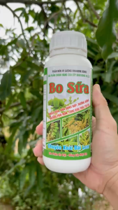 Phân Bón VL BO SỮA – Nhiều Hoa Hoa Sáng Đẹp Dưỡng Bông Dưỡng Trái Non Tăng Đậu Trái Tối Đa – Chuyên Xoài Đài Loan (Chai 500ml)