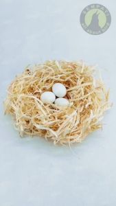 SEMPATI Serat Kayu Sarang Tempat Bertelur Burung ASRKCAW