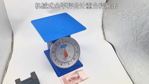Weighing Scale  - Accurate 10kg 20kg 30kg Food & Meat Kitchen Timbangan FLAT PLATE Weighing