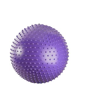 REXUELONG | Sensory Integration Training Large Ball For Babies Education