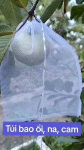 100 Cái Túi Lưới 18x20cm Bọc Ổi Vú Sữa Hồng Xiêm Cam Na Các Loại Trái Cây