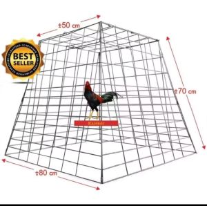 Kurung Ayam Piramide