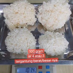 100 Gram Jamur Es / Jamur Putih SUPER / Jamur Salju / Pek Bokni Bok Ni / White Fungus