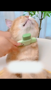 Pet Hair Removal Comb One-Click Self-Cleaning Grooming Brush De-Shedding Comb for Short & Long Hair Pet Grooming Supplies for Cats & Dogs