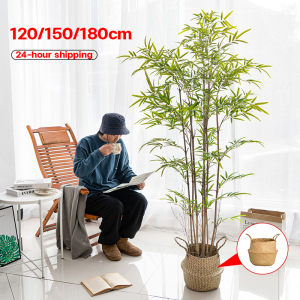 【Send flower pots】Artificial Plants 180/150/120cm Artificial bamboo home display Office Decoration Buluh tiruan 富貴竹