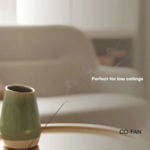 ($1 REPLACEMENT) Fanco DC Motor Ceiling Fan with LED Light (Optional) & Remote Control 48" Hugger