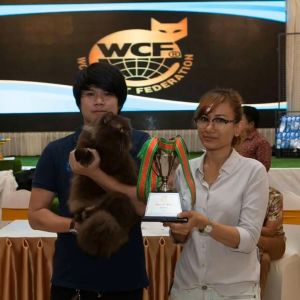 PETSMILE Premium Organic [RICE] Anti-Hair Loss Shampoo and Conditioner for CAT 500ml.