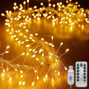 1.5M/3M/6M Remote Control Firecracker String Lights USB Powered LED String Lights Suitable for Garden Party Wedding Decoration