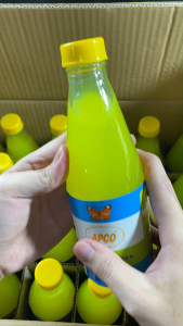 Chất Tẩy Sơn Kim Loại Nhựa Tường – Dung Dịch Tẩy Sơn APCO 350ml chữ xanh - Linh kiện Quỳnh Diễn