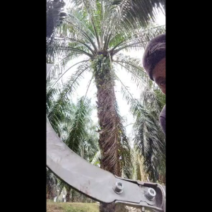 [100%ORI] Taji Besi Untuk Sabit 7133 (HDL) / Taji 7133 - Hardware