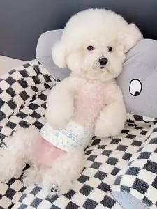 TRAVELCUL ผ้าอ้อมสุนัข ผ้าอ้อมหมา  ผ้าอ้อมสัตว์เลี้ยง ตัวผู้และตัวเมีย ผ้าอ้อมสุนัขและแมว พร้อมส่ง XXS/XS/S/M/L/XL