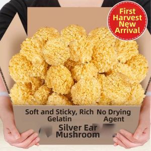 Sulfur Free White Fungus Soft Texture Easy to Produce Gel