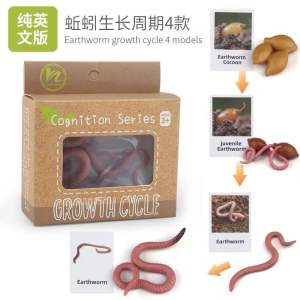 Dirt & Digging Earthworm Sensory Play วงจรชีวิตไส้เดือน วงจรชีวิตสัตว์ (พร้อมส่ง🇹🇭)