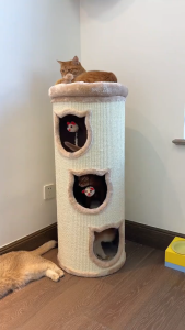 Realmpetz HoneyPot Cat Climbing Frame Cat Tree Integrated Sisal Bucket Multi-Layer Cat House Cat Nest Rumah Kucing