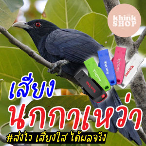 แฟลชไดร์ฟเสียงต่อนกกาเหว่า เสียงนกกาเหว่า เสียงต่อนกกาเหว่า เมมเสียงนกกาเหว่า