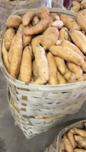 Ubi Madu Cilembu Mentah Manis Legit Asli Sumedang Ukuran Besar