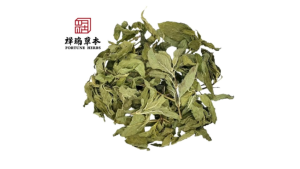 Fortune Herbs Peppermint Leaf Mint 薄荷叶 50g/100g 清涼提神 peppermint dried pudina 清新口气