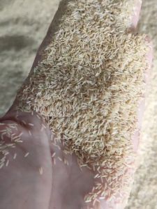 Telur Jangkrik Alam Sliring Kemasan 600gr Telur Jangkrik Alam Dengan Daya Tetas Terjamin