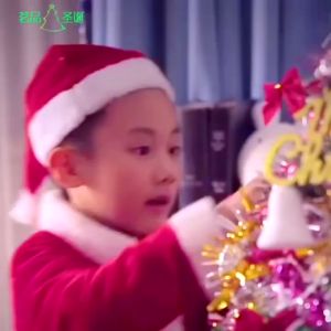 Cây Thông Noel 1m5 đầy đủ phụ kiện trang trí kèm theo
