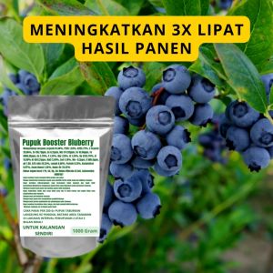 Pupuk Booster Bluberry Pelebat Organik Cepat Berbuah Lebat Besar Anti Rontok Pembesar Bluberry