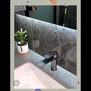 Stainless Rteel Waucet Hand Washing Wash your Face Wash and Gargle Bathroom Cabinet Toilet Balcony Basin Faucet Grey Silver Black