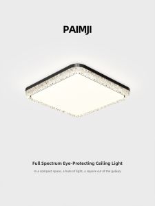 PAIMIJI | Luxury Modern LED Reading Ceiling Light