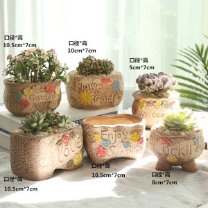 Creative Ventilated Cactus Pot Large