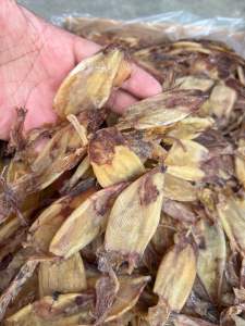 ปลาหมึกแกะตาฟิตหมึกแกะตาปลาหมึกเจาะตาฟิตขนาด500กรัม