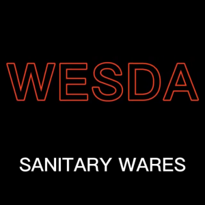 SS110 stainless steel tel-shower with hose with stand WESDA