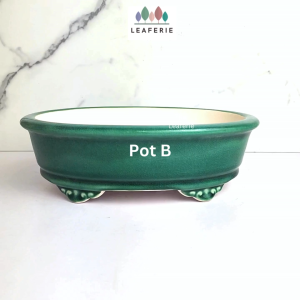 The Leaferie Bonsai Pot / Tray (Series 60)  Oval Plant pot Ceramic Flowerpot Flower pots