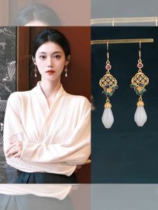 New 2025 Ming Dynasty Chinese Hanfu Ancient Style Horse Tailed Skirt New Central Plains Autumn Winter Warrobe Womens Skirt