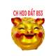 CH Heo Đất 853