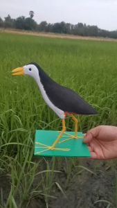 หุ่นนก ตัวล่อ นกกวักยาง นกกวักปลอม  ทำจากยางEVA เหนียวทน สำหรับใช้ต่อนกกวัก นกเข้าเร็วไม่ระแวง มีริวิวผ่านการทดสอบใช้ได้จริง พร้อมส่ง