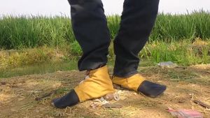 Sepatu lumpur siap tandur di sawah