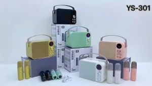 Mini Portable Home Edition Wireless Bluetooth speaker Bluetooth V5.0 dual microphone 3D stereo surround karaoke