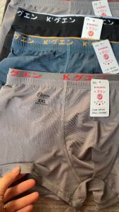 2 Quần Sịp Nam Đùi Cotton Quần Lót Nam KN04 THÔNG HƠI Co Giãn 4 Chiều Sang Trọng 50kg-80kg
