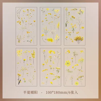 JIANQI 6pcs/pack Transparent PET Stickers Scrapbooking Materials DIY Junk Journal Collage Floral Leaves Plants Decor Stickers