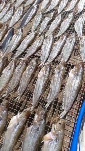 1kg Khô cá kết trèn bầu- Cá chiên thơm vàng vị ngọt béo- khô cá trèn bầu MINH TRIẾT ĐẶC SẢN