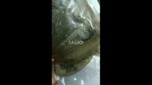 250GR Khô Cá Dảnh (Cá Ngộ) Loại Ngon Đặc Sản PHAN THIẾT-BÌNH THUẬN