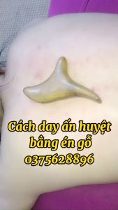 Dụng Cụ Day Ấn Huyệt Mát Xa Én Đá Hỗ Trợ Điều Trị Bệnh Xương Khớp - Massage