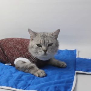 Tempat Tidur Alas Kasur Anjing Kucing - Bukipet Paw Sleeping Mat