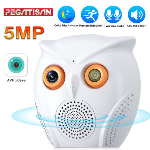 Owning the Best Owl Shape HD 5MP WiFi Indoor Security Camera